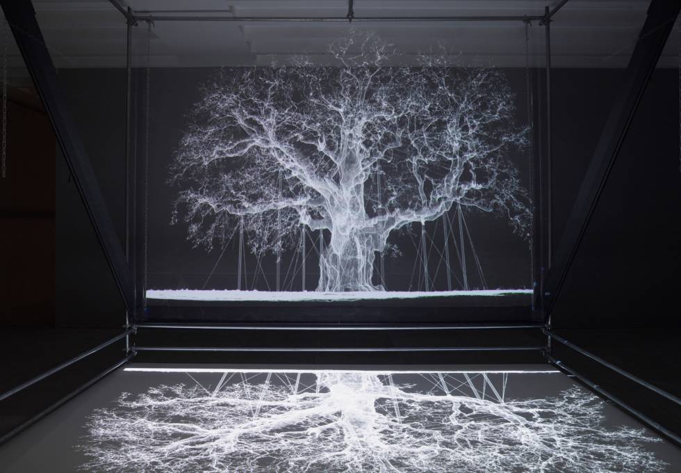 mat collishaw exposicion