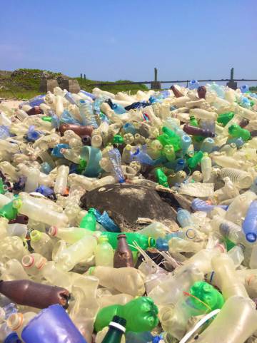 Un caparazón de tortuga entre la basura de la playa MRU de Accra, en Ghana.