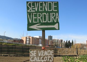 El último gran huerto de Barcelona