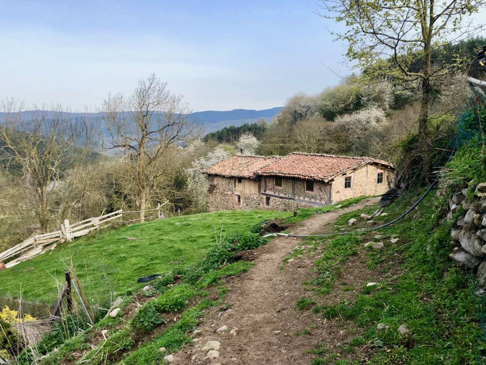 Estampa de Tondeluna Capel