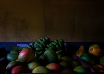 Reconstruir Puerto Rico a través de la gastronomía