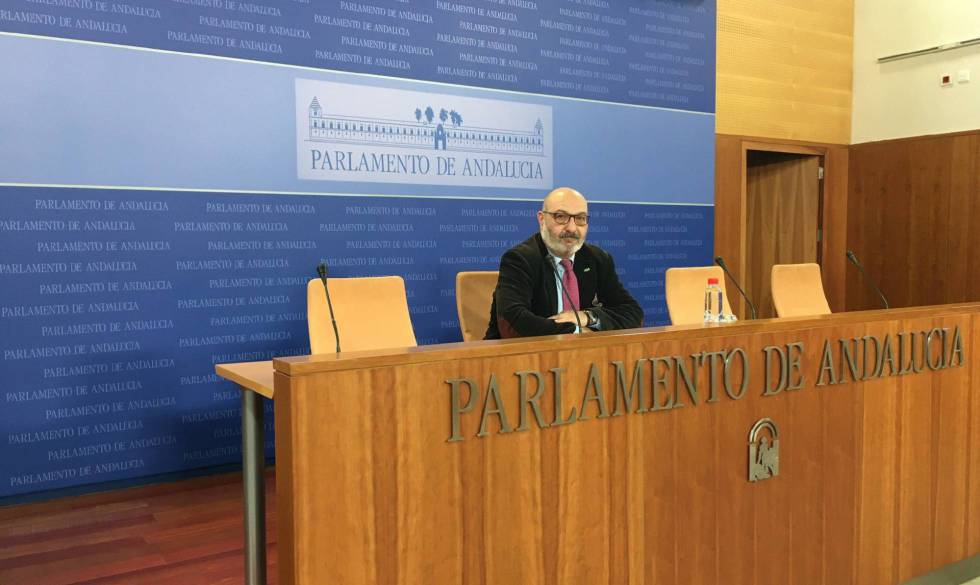 Vox’s parliamentary spokesperson in Andalusia, Alejandro Hernández.
