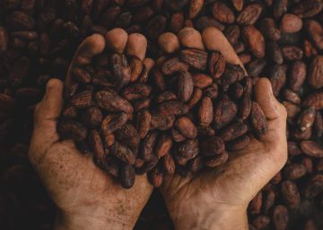 Quanto seu chocolate encareceria sem trabalho infantil?