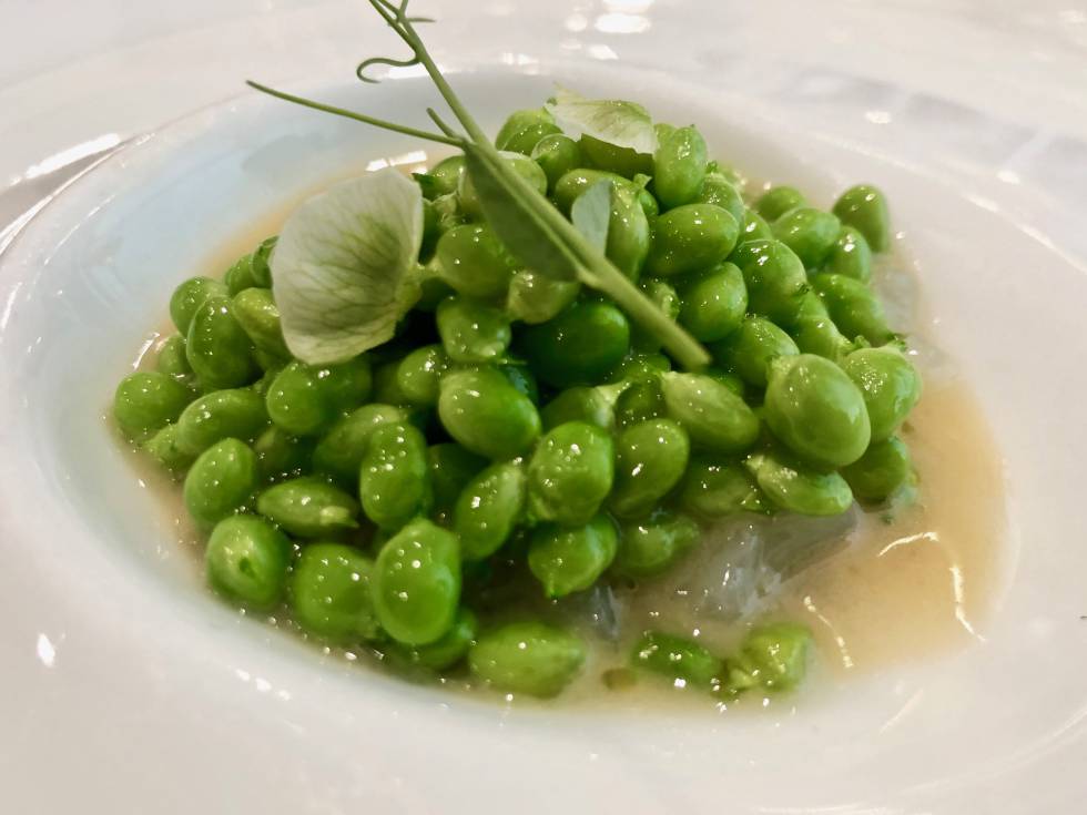 Guisantes de costa de navazo. Un plato del restaurante Mantúa Capel