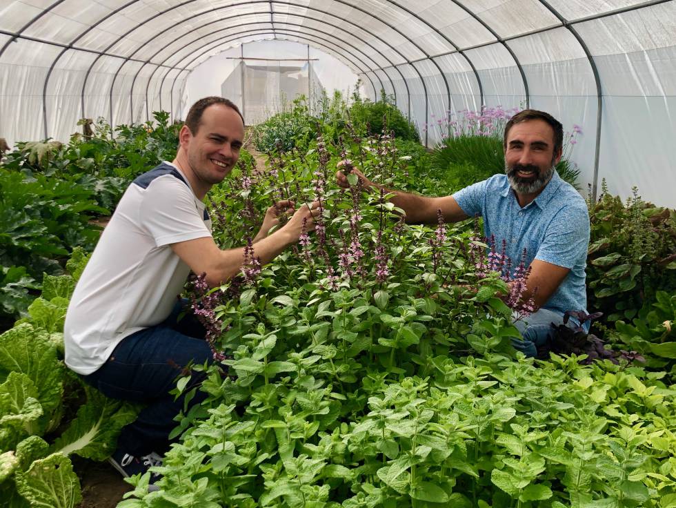 El cocinero Israel Ramos y Rafael Monge en el invernadero instalado dentro del navazo Capel