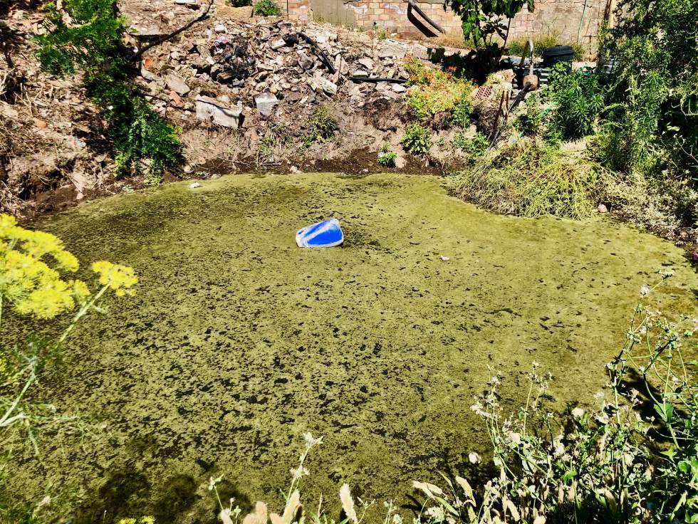 El famoso tollo, balsa de agua salobre horadado en el navazo. El flotador azul pensado para sostener la bomba de extracción Capel