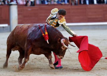 Toros en cultura