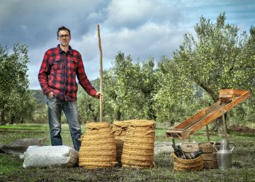 Prohibido el paso a tractores: en este olivar se fabrica aceite 100% biológico