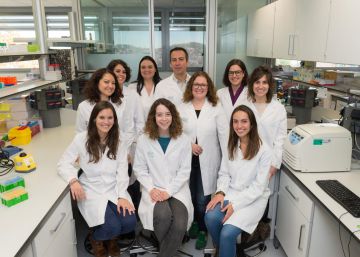 Un fàrmac contra el truc que comparteixen el càncer i els embrions per sobreviure