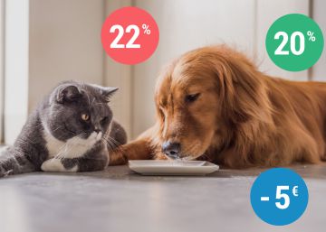 Los mejores descuentos y ofertas para cuidar de tu mascota