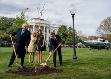 Qué duro es ser árbol en la Casa Blanca