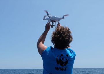 Drones: juguetes, vigilantes o armas terroristas