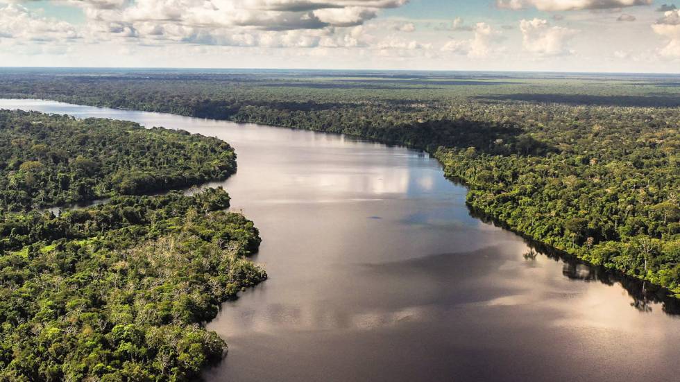 Pacaya Samiria, uno de los pulmones verdes más importantes del planeta.