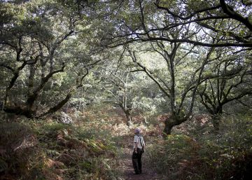 Aprender a cuidar la biodiversidad