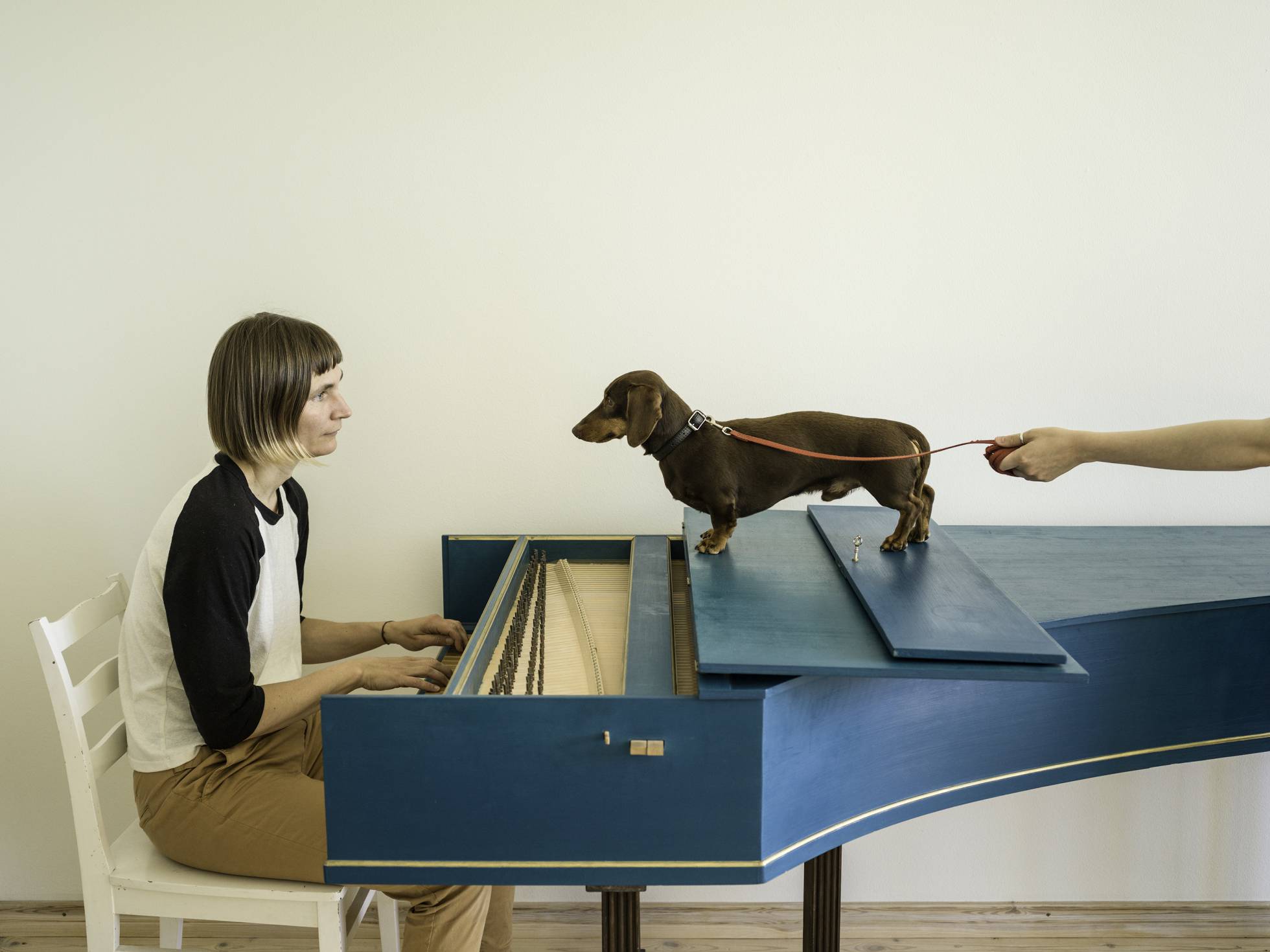 Flux Harpsichord Concert, 2017
