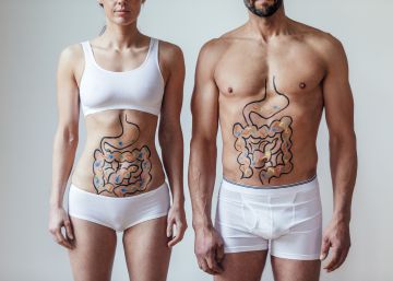Se buscan voluntarios para identificar las bacterias de la flora intestinal española