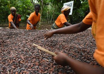 “Es el momento de África y tenemos que estar a la altura”