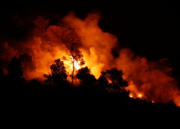 L’incendi forestal a Tarragona, en imatges