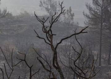 Los mayores incendios forestales en España en los últimos años Los mayores incendios forestales en España en los últimos años