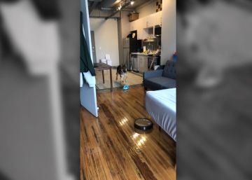 Un robot aspirador persigue a un pastor alemán asustado