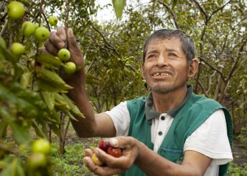 La doble vida del camu camu