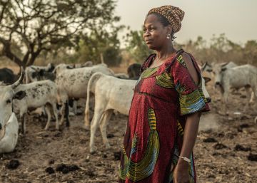 El sueño de Fatou