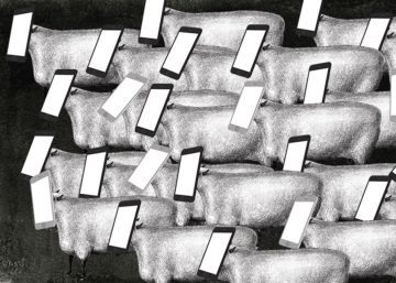 O uso prolongado de computadores e celulares afeta o seu sono desta forma