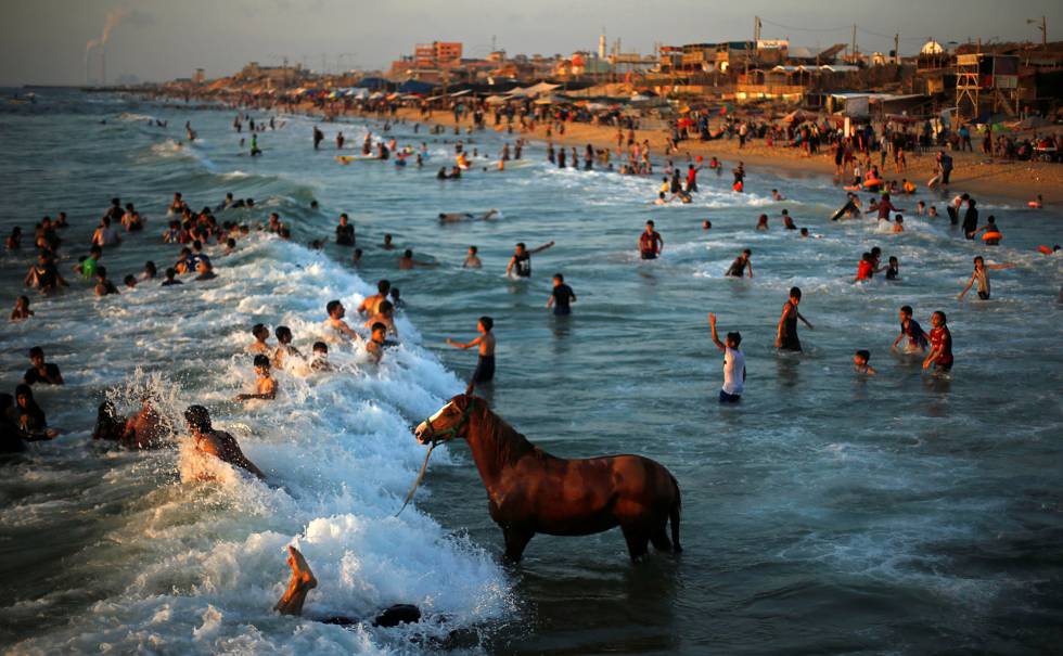 gaza