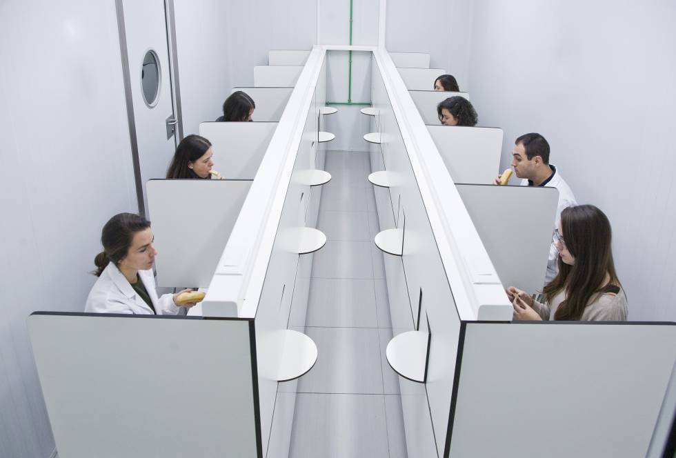 Inteligencia artificial ¿semilla de una nueva cocina creativa?