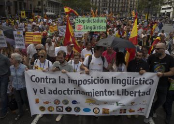 Ens calen nous consensos lingüístics