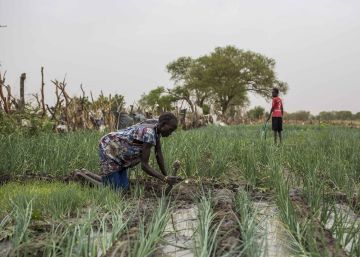 Old Fangak, un oasis en medio de la guerra de Sudán del Sur