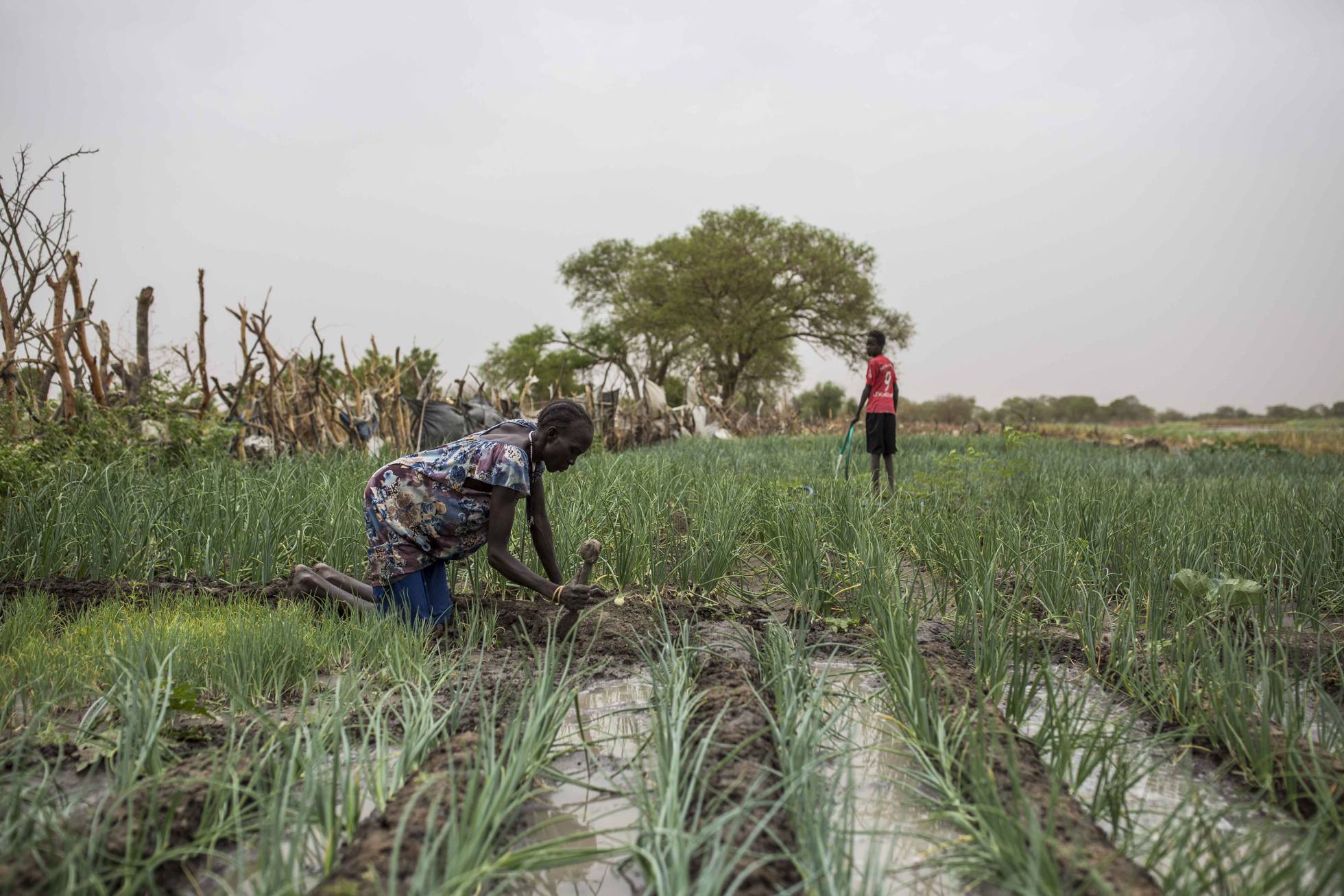Old Fangak, un oasis en medio de la guerra de Sudán del Sur