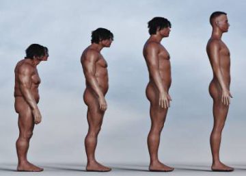 Partidismo evolutivo