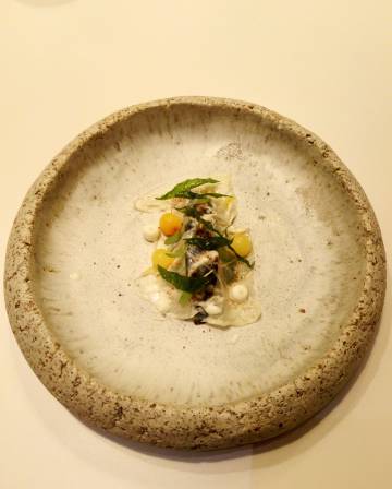 ceramica estrella michelin