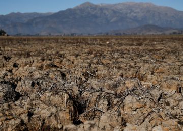 Las heridas del cambio climático en Chile