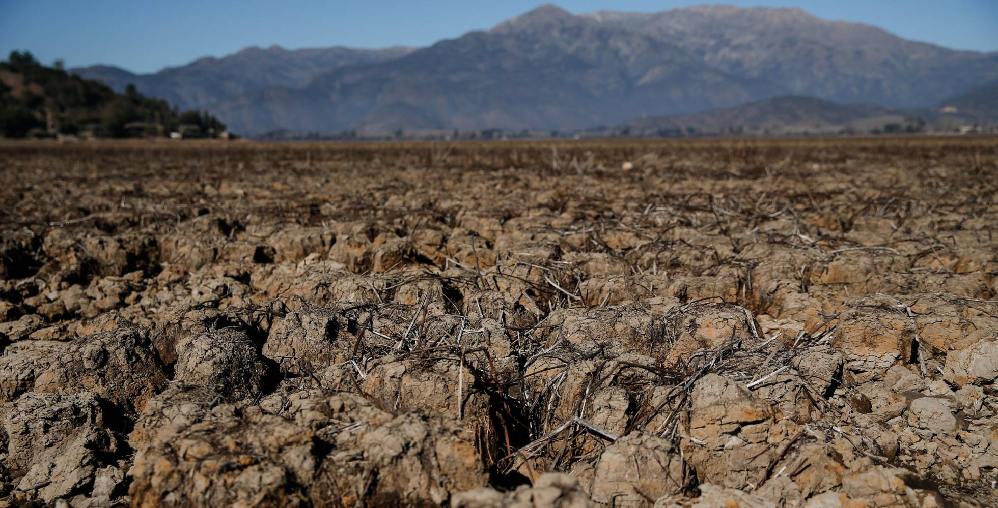 cambio climatico chile