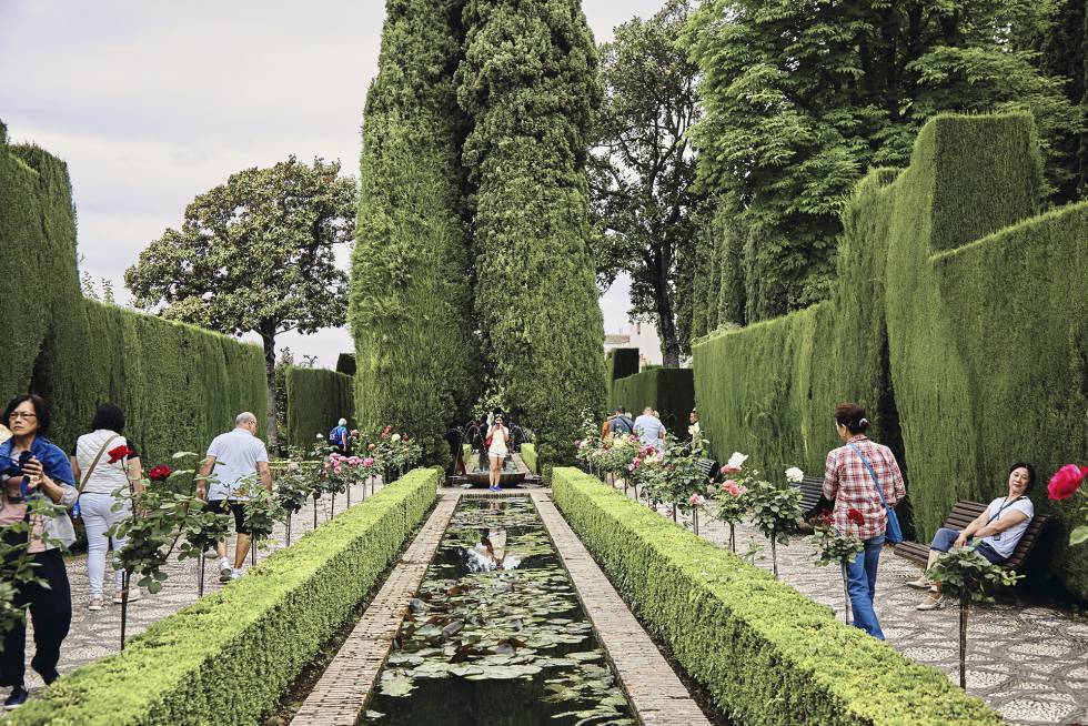 Una vista de los jardines del Generalife. Los animales han vuelto a las albercas y se pueden ver, por ejemplo, anfibios y libélulas.