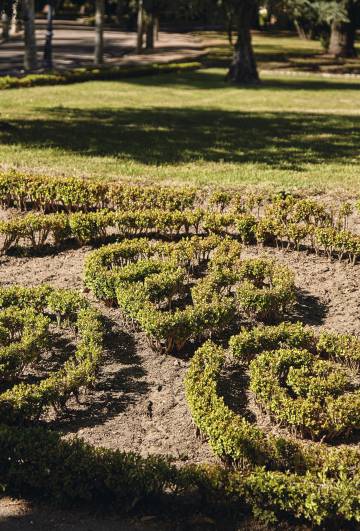Bonsáis, cactus y balas de la Guerra Civil en los jardines de La Moncloa