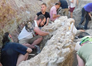 Un encuentro científico de nivel mundial en un pueblo de la España vacía