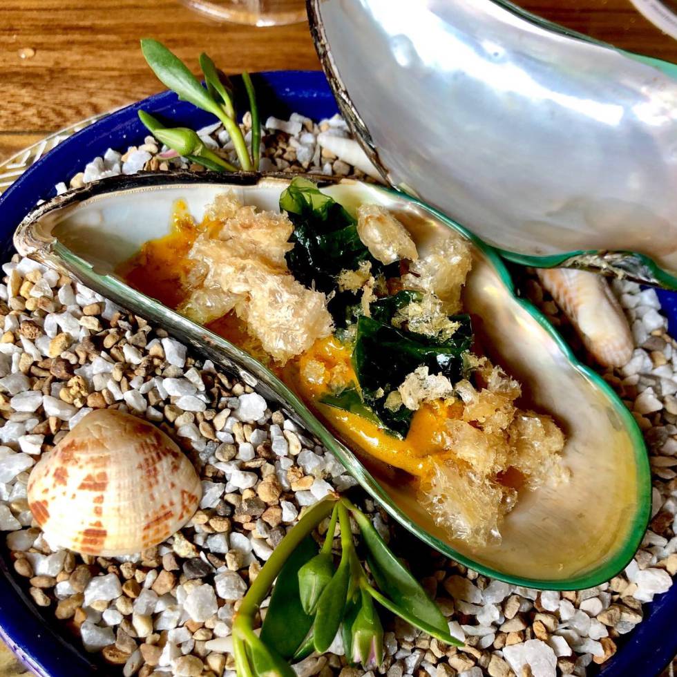 Mejillón gigante con aguacate, lechuga de mar y chicharrones capel