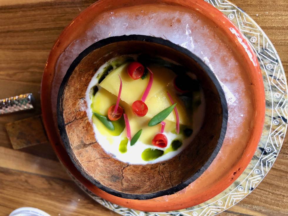 Jurel, limoncillo, limón mandarino, mango biche, verdolaga playera, bastón del emperador y leche de coco Capel