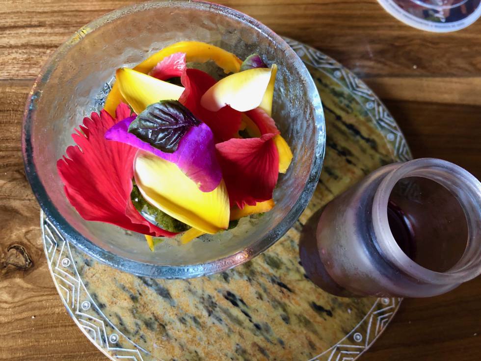 Raspado de hoja de Jamaica, mamey, flores, hierbas y corozo Capel