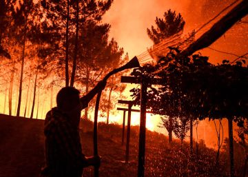 Mais de 800 bombeiros lutam contra os incêndios em Portugal