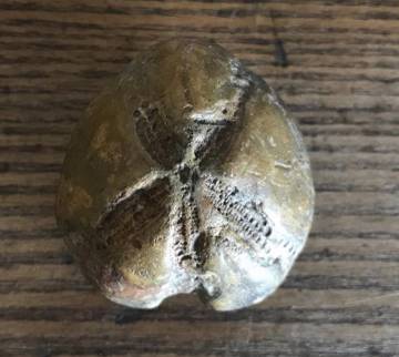 Siglos de historia se esconden en el barro del Támesis