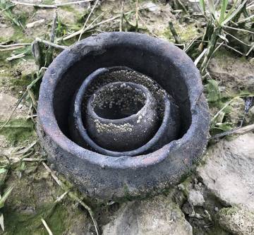 Siglos de historia se esconden en el barro del Támesis