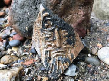 Siglos de historia se esconden en el barro del Támesis