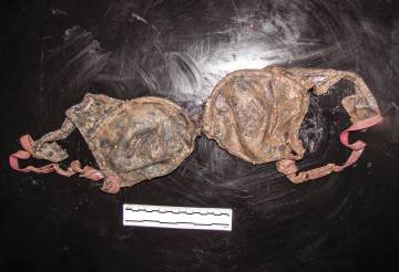 Un sujetador extraído de las vísceras de un delfín molar encontrado muerto hace 5 años en Gran Canaria.