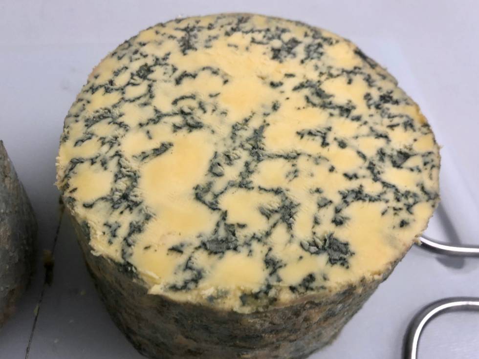 Savel, mejor queso azul de España 2019 Capel