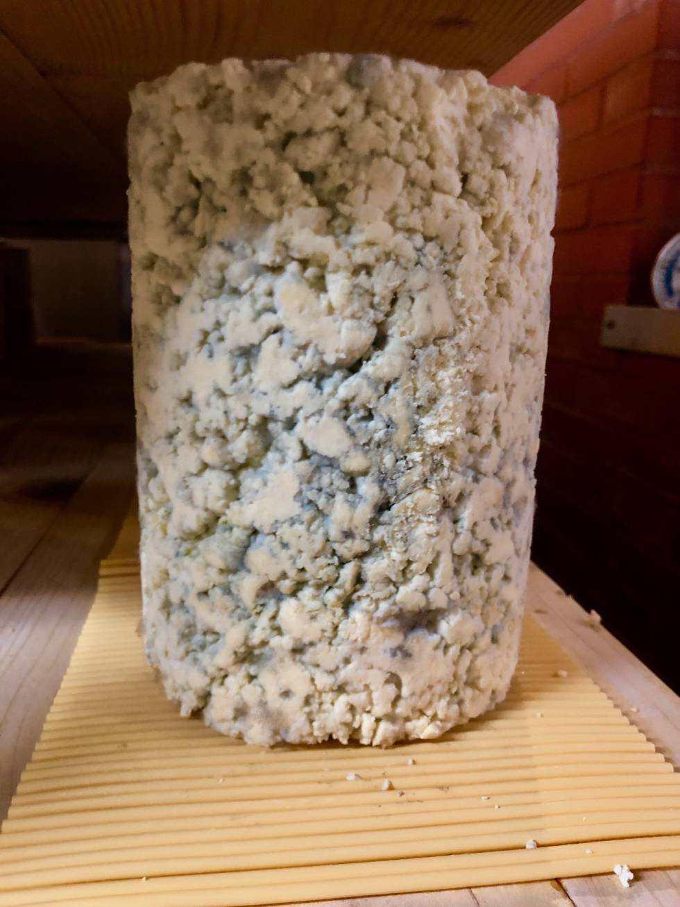 Savel, el mejor queso azul de España 2019