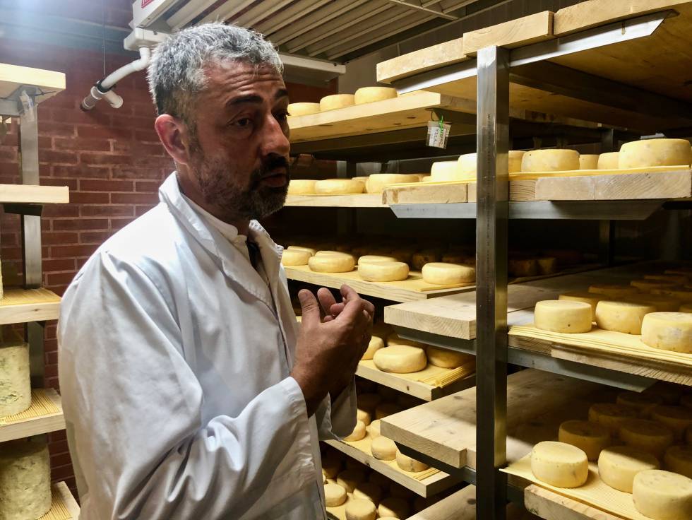 Savel, el mejor queso azul de España 2019